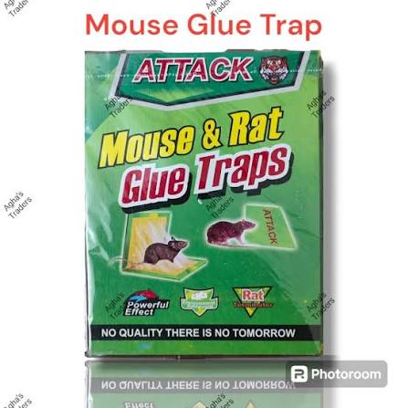 attack mouse & rat book